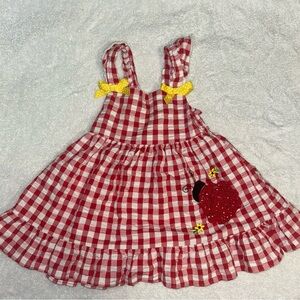 Red Gingham Dress with Ladybug Embroidery